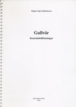 gull_kennslu